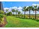 Manicured backyard with neatly trimmed lawn, rows of palm trees, and a scenic view of the surrounding landscape at 8272 Redonda Loop, Bradenton, FL 34202