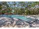 Gorgeous community pool surrounded by lush, mature trees providing ample shade and a relaxing atmosphere at 860 Virginia St # 304, Dunedin, FL 34698
