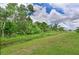 A verdant backyard area with lush greenery and trees under a partly cloudy sky at 8916 Isabella Cir, Parrish, FL 34219