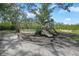 Community playground with slides and play structures surrounded by mature trees and a white picket fence at 110 San Lorenzo Ct, Bradenton, FL 34208