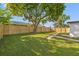 Well-maintained backyard with a mature shade tree, grassy lawn, and a new wooden fence at 1801 W Saint Isabel St, Tampa, FL 33607