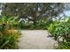 Landscaped backyard with gravel, showcasing tropical plants and mature trees, creating a serene outdoor space at 4695 86Th N Ave, Pinellas Park, FL 33782