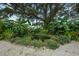 Backyard pond with lush tropical landscaping on a pea gravel ground cover at 4695 86Th N Ave, Pinellas Park, FL 33782
