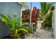 Pathway shot with lush landscaping, a gravel path, and glimpses of the neighborhood at 4695 86Th N Ave, Pinellas Park, FL 33782