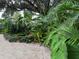 Lush tropical plants and trees line the backyard, creating a private and serene outdoor oasis and gravel walkway at 4695 86Th N Ave, Pinellas Park, FL 33782