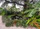 Lush landscaping creates a serene oasis around a pond with lily pads and diverse aquatic vegetation at 4695 86Th N Ave, Pinellas Park, FL 33782