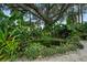 A tranquil pond surrounded by lush tropical plants, creating a serene backyard oasis at 4695 86Th N Ave, Pinellas Park, FL 33782