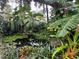 Picturesque pond surrounded by lush landscaping, enhancing the property's natural beauty at 4695 86Th N Ave, Pinellas Park, FL 33782