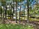 Scenic view of community pond surrounded by lush trees and natural foliage at 4695 86Th N Ave, Pinellas Park, FL 33782