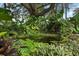 Lush landscaping surrounds a serene pond filled with lily pads and aquatic plants, creating a tranquil oasis at 4695 86Th N Ave, Pinellas Park, FL 33782