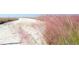 A picturesque beach path is lined with pink muhly grass along the sandy shoreline at 5623 Midnight Pass Rd # 615, Sarasota, FL 34242