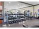 Bright gym with weights, machines, mirrors, and rubber flooring at 5902 106Th E Ter, Parrish, FL 34219