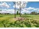 Beautiful greenspace featuring mature shade trees, expansive lawn and other residential buildings in the distance at 6546 Fairway Gardens Dr # 6546, Bradenton, FL 34203