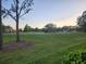 Manicured lawn with mature trees against a picturesque sky at 6546 Fairway Gardens Dr # 6546, Bradenton, FL 34203