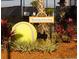 Tennis Center sign with manicured landscaping and a large tennis ball decoration at 7005 River Hammock Dr # 203, Bradenton, FL 34212