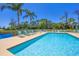 Relaxing swimming pool area with lounge chairs and tropical palms, perfect for a refreshing swim at 8755 Olde Hickory Ave # 7105, Sarasota, FL 34238