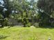 A fenced-in backyard with green grass and mature trees provides a private outdoor space at 2809 112Th E Ter, Parrish, FL 34219