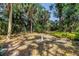 Expansive backyard boasts mature trees and lush landscaping at 3934 Brookside Dr, Sarasota, FL 34231