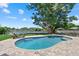 Beautiful kidney-shaped pool and lounge area overlooking the lake, shaded by a mature tree at 4708 26Th W Ave, Bradenton, FL 34209