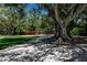 Enjoy a peaceful afternoon on the park bench shaded by mature trees and lush greenery at 603 Cedars Ct, Longboat Key, FL 34228
