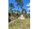 View of a shed with a security light, complemented by well-maintained landscaping, nestled in a tranquil outdoor setting at 8412 Grove Blvd, Punta Gorda, FL 33982
