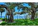 Lush waterfront property with mature trees overlooking the bay and a serene seating area at 1100 Imperial Dr # 507, Sarasota, FL 34236