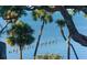 Breathtaking water view framed by lush palm trees creates a serene and tropical setting at 1100 Imperial Dr # 507, Sarasota, FL 34236