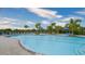Beautiful pool with plenty of seating, palm trees, and a blue sky at 12728 Lateral Root Dr, Sarasota, FL 34238