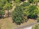 Aerial view of a gorgeous, large, fenced lot with mature trees and beautiful green grass at 13719 Seminole Trl, Wimauma, FL 33598