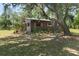 A well-maintained outbuilding shaded by mature trees and complemented by vibrant landscaping at 13719 Seminole Trl, Wimauma, FL 33598