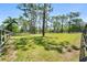 Large grassy yard surrounded by mature trees and a charming wooden fence at 13719 Seminole Trl, Wimauma, FL 33598