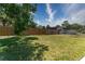 Lush, green backyard enclosed by a wooden fence, offering a private and serene outdoor space at 138 Pearl Ave, Sarasota, FL 34243