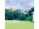 Scenic backyard view with deer grazing in the expansive green space with mature trees at 17605 Roanwood Ct, Parrish, FL 34219