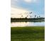 Scenic view of a grassy field and pond reflecting the sky with birds in flight during dusk at 17605 Roanwood Ct, Parrish, FL 34219
