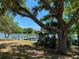 Peaceful view of the lake with a pier, framed by mature trees and lush greenery at 22275 Belinda Ave, Port Charlotte, FL 33952