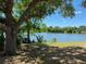 A serene view of a lake surrounded by lush greenery, providing a tranquil setting at 22275 Belinda Ave, Port Charlotte, FL 33952