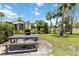 Outdoor picnic area featuring a picnic table, grill, and lush green space, perfect for community gatherings at 3269 Beneva Rd # 103, Sarasota, FL 34232