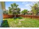 Private backyard featuring a palm tree, lush lawn, and a wooden fence, perfect for outdoor enjoyment at 515 N Osprey Ave, Sarasota, FL 34236