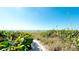 Scenic beach path leading to the ocean with lush greenery on either side at 791 Saint Judes Dr N, Longboat Key, FL 34228