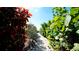 Quiet walkway surrounded by colorful foliage, leading toward the beach at 791 Saint Judes Dr N, Longboat Key, FL 34228