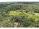 Aerial view of wooded land with open field at 9625 Erie Rd, Parrish, FL 34219