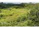 Expansive aerial view of the wooded lot with an elevated platform at 9625 Erie Rd, Parrish, FL 34219