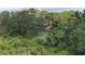 Aerial view of wooded lot, showing a large home secluded among the trees at 9625 Erie Rd, Parrish, FL 34219