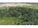 Aerial view of a secluded home nestled within mature trees and greenery at 9625 Erie Rd, Parrish, FL 34219