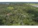 A wooded homesite with an aerial view of the surrounding natural landscape and neighborhood at 9625 Erie Rd, Parrish, FL 34219