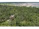 An aerial view of a wooded homesite in a quiet, natural landscape at 9625 Erie Rd, Parrish, FL 34219
