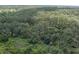 Vast, densely wooded area seen from an aerial perspective at 9625 Erie Rd, Parrish, FL 34219