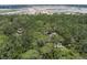 A lovely aerial shot of a wooded homesite, surrounded by natural landscape at 9625 Erie Rd, Parrish, FL 34219