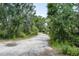 Gravel driveway with mature trees canopying the road and lush foliage on either side at 9625 Erie Rd, Parrish, FL 34219