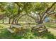 Picnic tables and playground surrounded by mature trees and a verdant lawn at 2110 Craft Ln, Sarasota, FL 34239